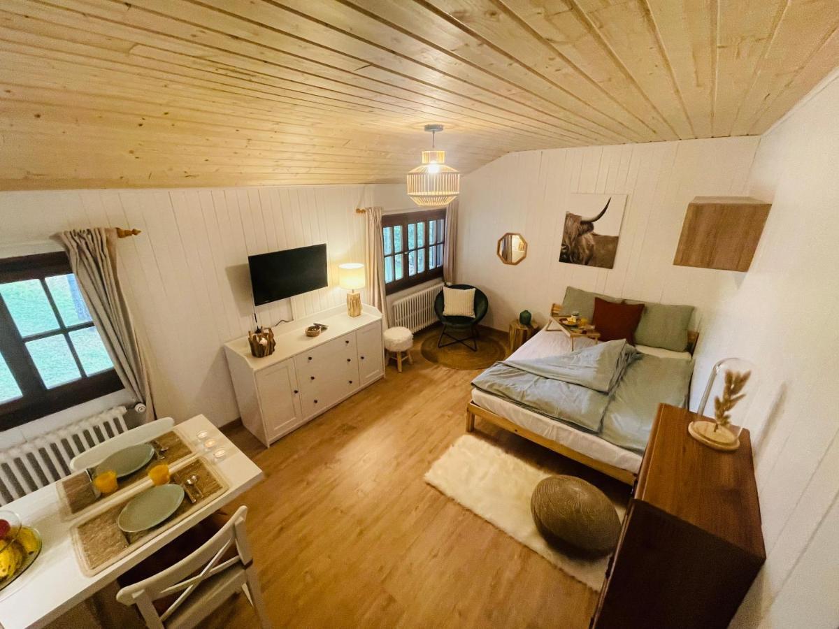 Studio Avec Sauna - 300M Des Pistes Лейсен Экстерьер фото