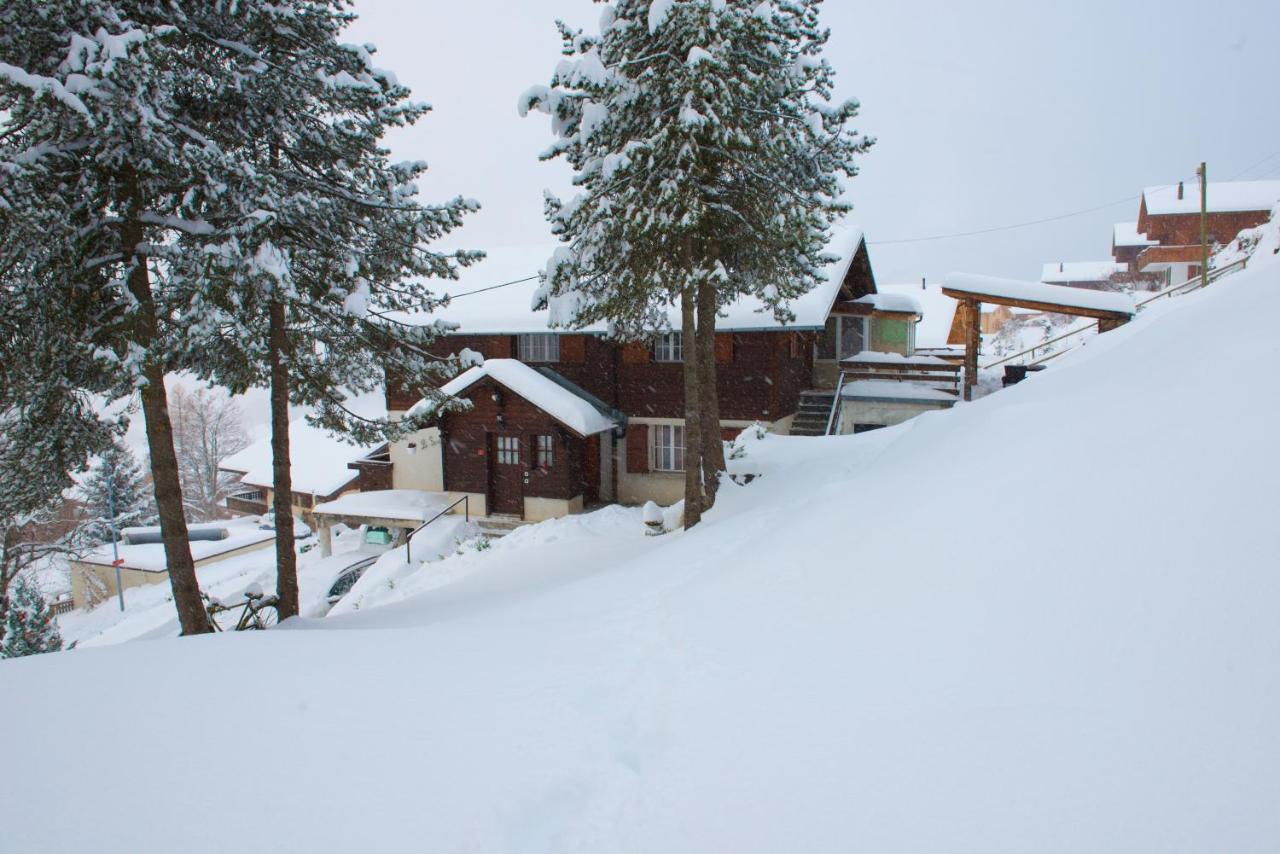Studio Avec Sauna - 300M Des Pistes Лейсен Экстерьер фото