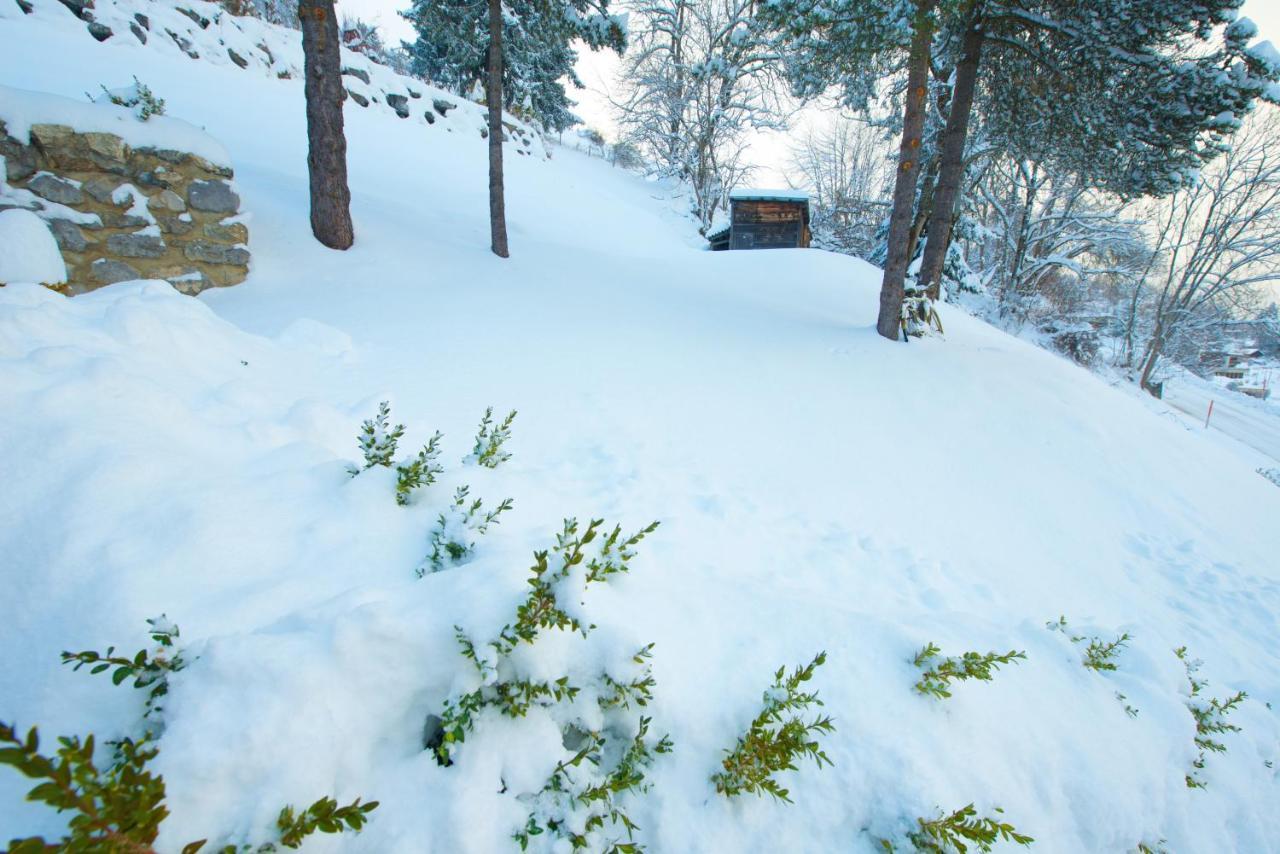 Studio Avec Sauna - 300M Des Pistes Лейсен Экстерьер фото